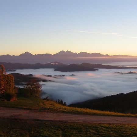 Gostisce In Penzion Stari Vrh Poljane nad Škofjo Loko 外观 照片